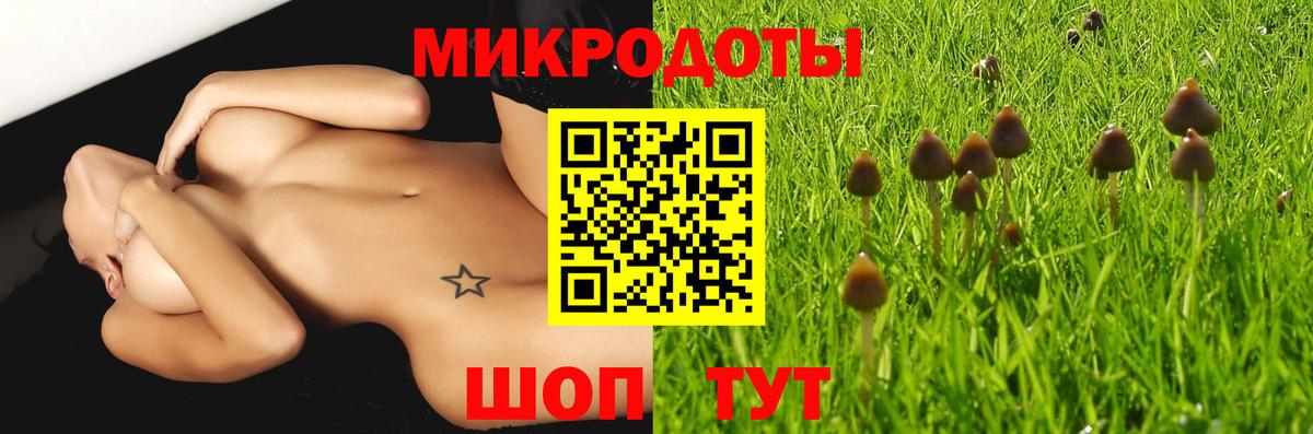 Коломна  Псилоцибиновые грибы Cubensis  Вход с VPN 